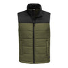 The North Face - Everyday Insulated Vest. NF0A529A